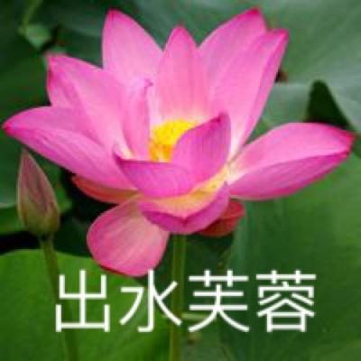 弑神战场手游(暂未上线)v1.0.1 安卓版
